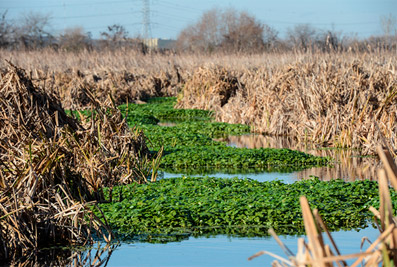 Cuenca Matanza Riachuelo