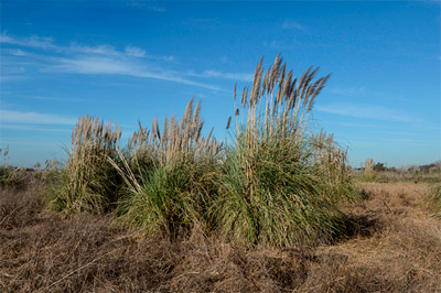Cuenca Matanza Riachuelo