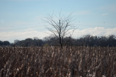 Cuenca Matanza Riachuelo