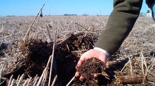 Conservación del Suelo