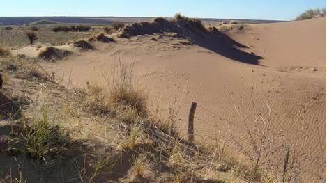 Conservación del Suelo