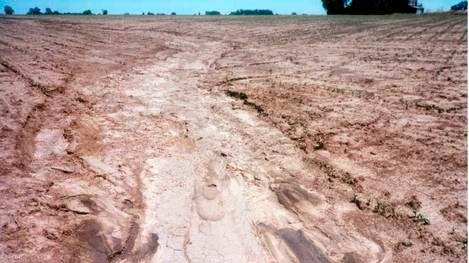 Conservación del Suelo