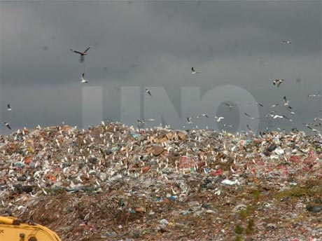Biogas