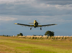 Fumigaciones rurales