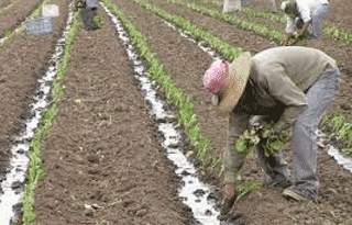 R&eacute;gimen de Trabajo