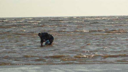 An&aacute;lisis de Agua