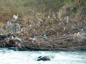 Reducci&oacute;n del uso de bolsas de pl&aacute;stico