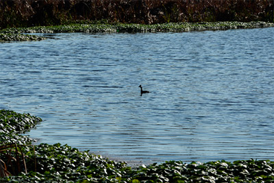 Cuenca Matanza Riachuelo