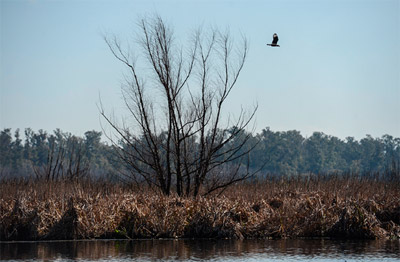 Cuenca Matanza Riachuel